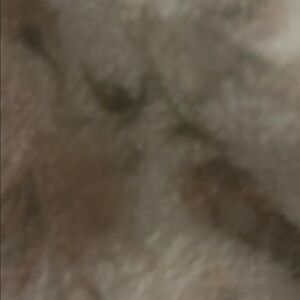 Meet your Posher, Antionette